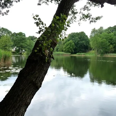 펜션 Nahe Stechlinsee Stechlin